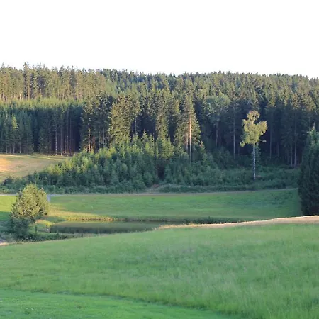 Gasthof Landgasthof Haueis Marktleugast