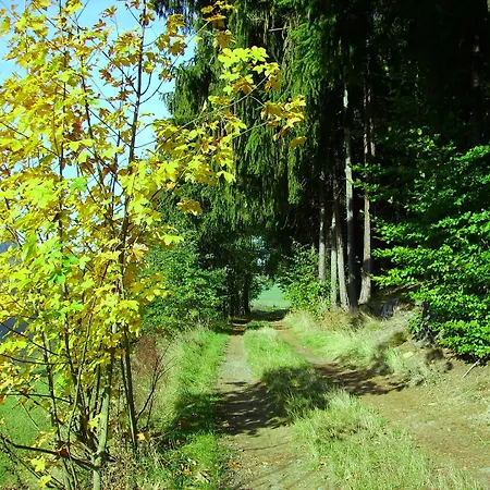 Penzion Landgasthof Haueis