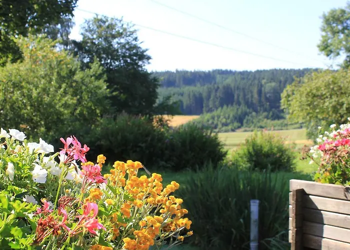 Landgasthof Haueis Affittacamere 3*