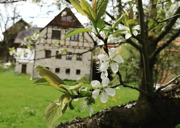 Landgasthof Haueis 3*